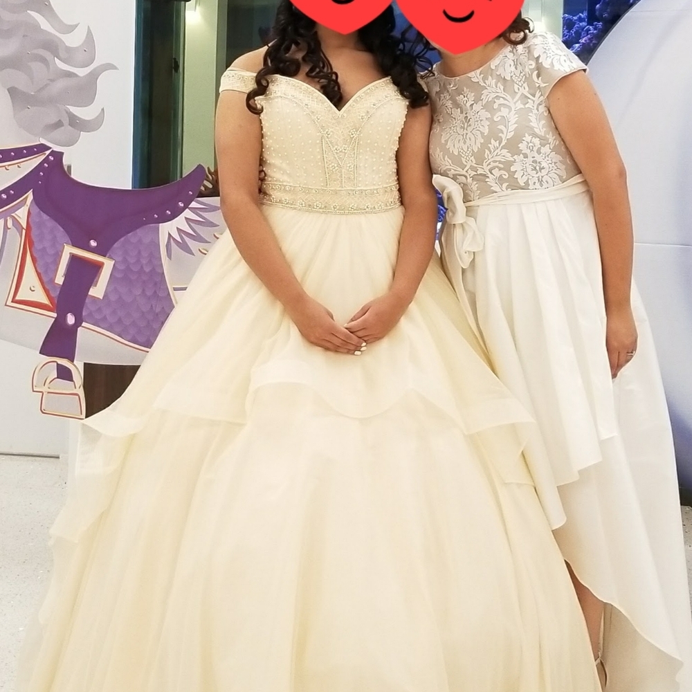 Quinceanera dress, wedding dress,sweet sixteen 16